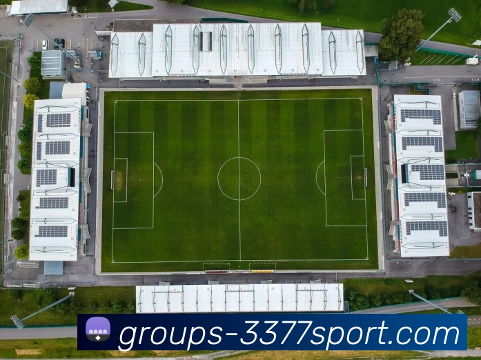 3377体育官网平台生态图