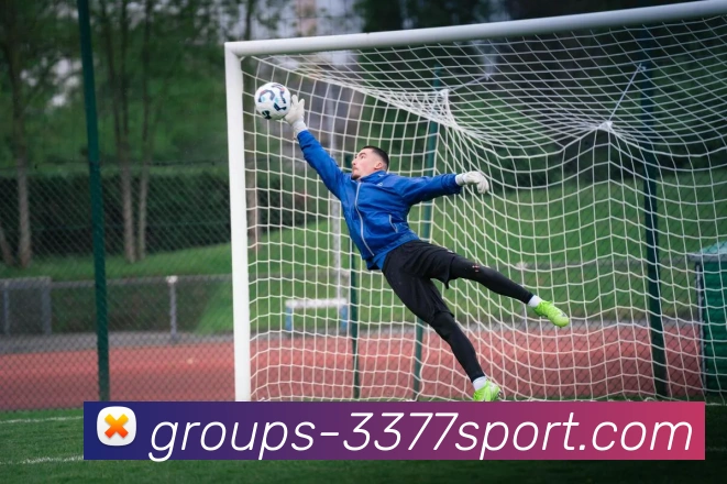 3377体育官网全站App